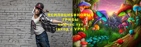 гашик Алзамай