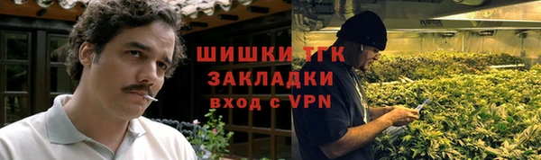гашик Алзамай