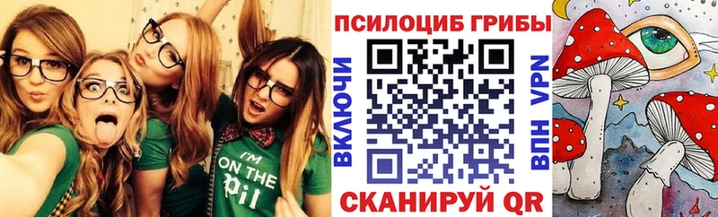 Псилоцибиновые грибы MAGIC MUSHROOMS  купить  цена  Звенигово 